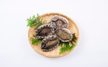 翠巡(すいじゅん)完全養殖佐世保産あわび4個