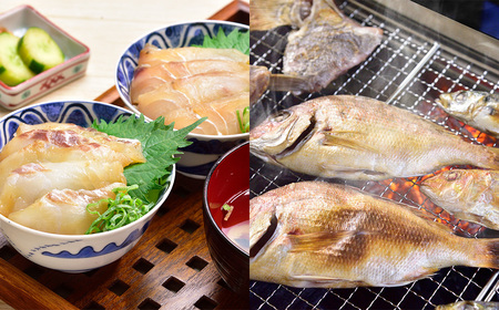 《定期便》旬の九十九島高島美食めぐり【6回お届け】