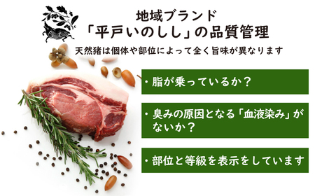 Newジビエ 平戸いのしし 食べ比べセット(ロース･肩ロース･バラ)