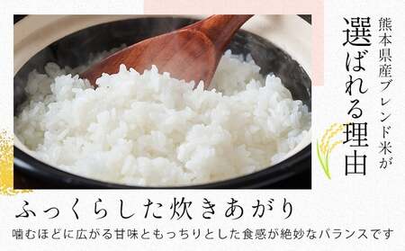 【隔月6回定期便】ひごみのり 無洗米 10kg