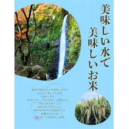 令和7年産 幻のハツシモ(旧品種) 玄米 5kg【1690466】 | 岐阜県養老町