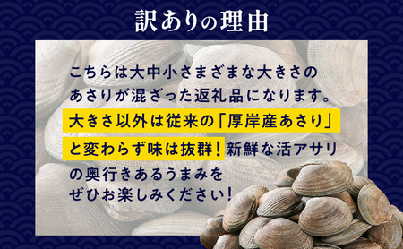 【10月発送】訳あり 北海道 厚岸産 砂出し済み 活あさり 500g×2 (合計1kg) 【厚岸海産】[ アサリ 魚貝 海鮮 大粒 美味しい 栄養 旨み 砂出し 水洗い 冷蔵 便利 ] 