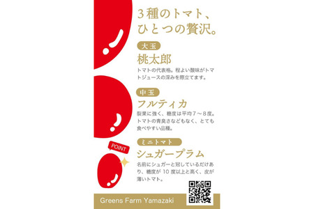 トマトジュース Greens Farm Yamazaki　朝日のトマトジュース6本セット | 180ml トマトジュース トマトジュース トマトジュース トマトジュース トマトジュース トマトジュース [016-99]