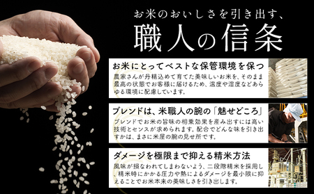 【隔月6ヶ月定期便】米 無洗米 熊本 ふるさと応援 米 20kg 無洗米