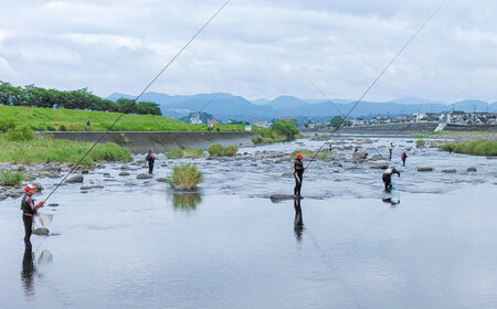 【令和8年度】ウナギを除く全魚種 遊漁年券(1枚)　日田市 / 日田漁業協同組合 鮎 アユ 釣り[ARFJ001]