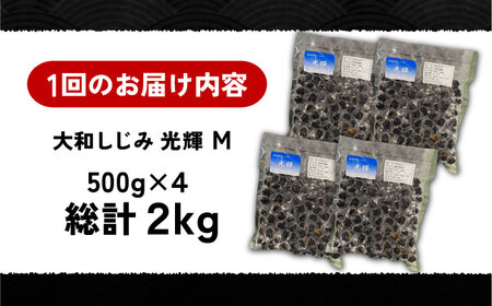 【全12回定期便】産地直送！宍道湖産 冷凍大和しじみMサイズ2kg(500g×4) 砂抜き処理済 島根県松江市/りすたむmatsue[ALDE009]