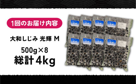 【全12回定期便】産地直送！宍道湖産 冷凍大和しじみMサイズ4kg(500g×8) 砂抜き処理済 島根県松江市/りすたむmatsue[ALDE015]