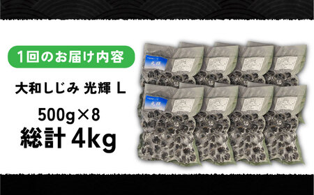 【全6回定期便】産地直送！宍道湖産 冷凍大和しじみLサイズ4kg(500g×8) 砂抜き処理済 島根県松江市/りすたむmatsue[ALDE017]