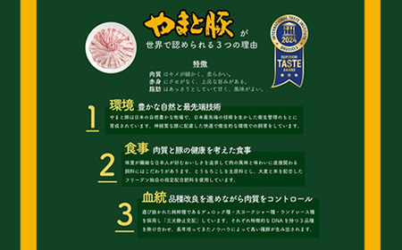 豚肉 豚バラ ロース 小間切れ モモ ひき肉 5種 2.6kg