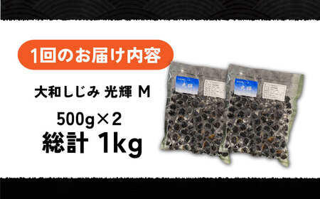 【全3回定期便】産地直送！宍道湖産 冷凍大和しじみMサイズ1kg(500g×2) 砂抜き処理済 島根県松江市/りすたむmatsue[ALDE019]