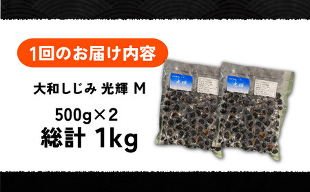 【全6回定期便】産地直送！宍道湖産 冷凍大和しじみMサイズ1kg(500g×2) 砂抜き処理済 島根県松江市/りすたむmatsue[ALDE020]
