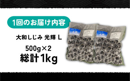 【全3回定期便】産地直送！宍道湖産 冷凍大和しじみLサイズ1kg(500g×2) 砂抜き処理済 島根県松江市/りすたむmatsue[ALDE022]