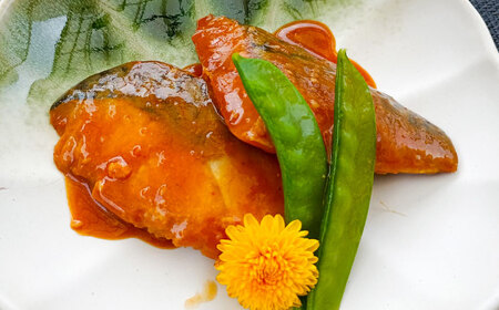 【寄附額改定】和風 魚 16パック 冷凍 惣菜 サバ  ＼ 惣菜 ／ [ALHZ001] 味噌煮