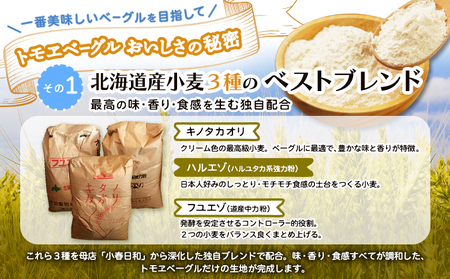 トモヱベーグル「クリームチーズブルーベリー」10個セット【330031】