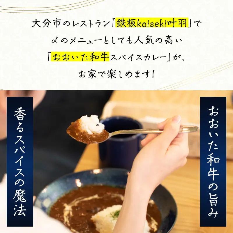 おおいた和牛 スパイスカレー 4袋 K03039