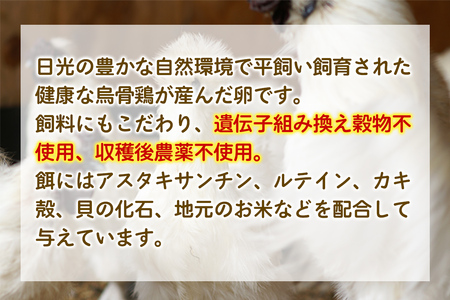 [定期便／3ヵ月] 希少！平飼い烏骨鶏の卵「月光《tuki》」40個×3回 計120個 [0803]
