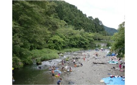 バーベキュースポット 名栗川 さつき 利用サービス券 体験チケット HNNAA001