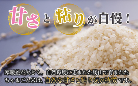 【定期便3ヶ月連続】勝山のお米コシヒカリ 精米 5kg（計 15kg） [E-010034]