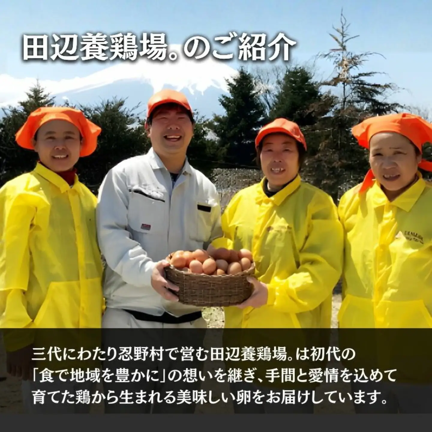 【忍野のたまご】コクの赤玉【80個入り】