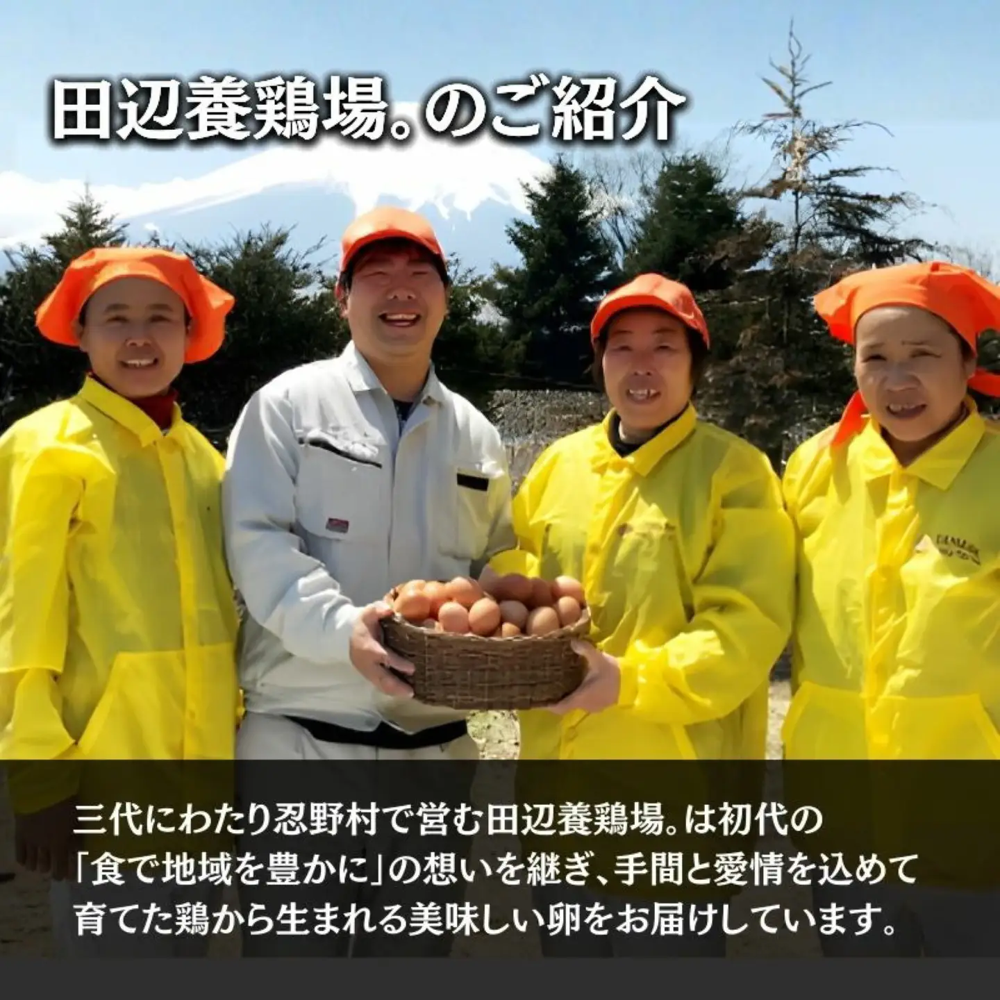 【忍野のたまご】うま味のピンク玉【80個入り】