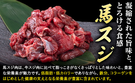 【12ヶ月定期便】 馬スジ 1kg （500g×2パック）五右衛門フーズ《お申込み翌月から出荷》馬肉 肉 馬すじ スジ 定期 冷凍 