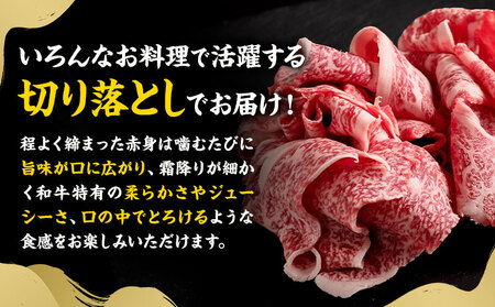 【ふるなびWEEK対象】黒毛和牛 牛肉切り落とし 600g 300g×2P《90日以内に出荷予定(土日祝除く) 》