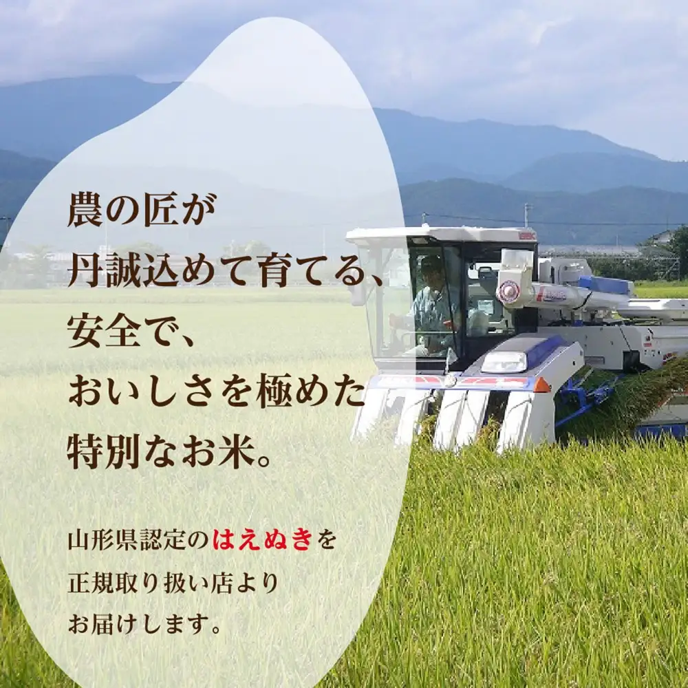 米 はえぬき 10kg 令和7年産 7月後半発送 山形県産 米 はえぬき