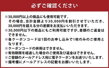 【30,000円分】DEEP BLUE（ディープブルー）クーポン券 クーポン 電子クーポン 商品券 オンライン オンラインショップ 岡山県 倉敷市