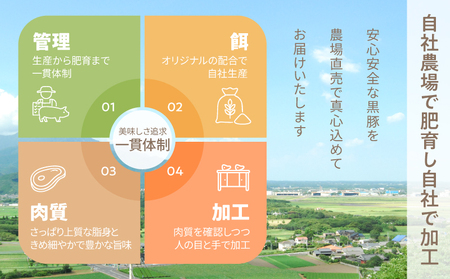 鹿児島県産 黒豚ロース しゃぶしゃぶ 500g、ロース とんかつ 4枚 KN054-020 肉 豚肉