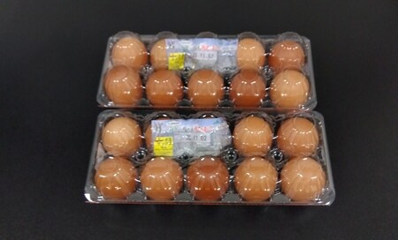 JA上伊那　カミーちゃん赤たまご　20個＋割れ保障10個付き（MSサイズ）｜卵 赤卵 20個 JA上伊那 伊那市 長野県 信州 ふるさと納税【008-24】