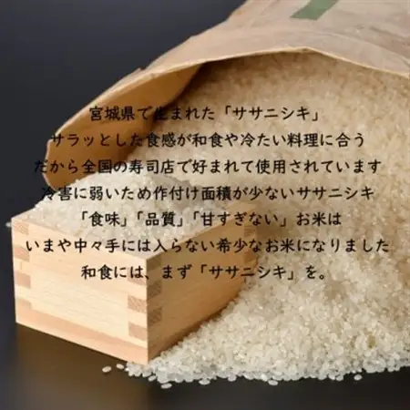 令和7年産 ササニシキ 精米10kg(5kg×2) 宮城県産【1691459】