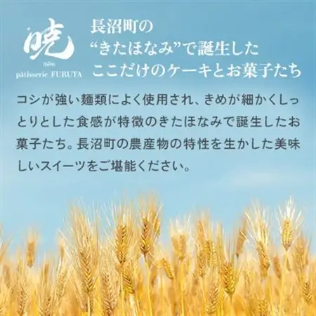 【さっぽろneoチーズケーキグランプリ受賞店・暁】フィナンシェ6個道産小麦＆焦がしバター香るプロの味【1687557】
