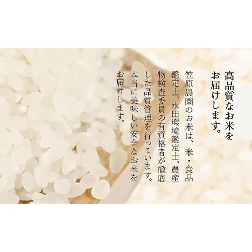 【令和７年産】栽培期間中農薬不使用 笠原農園米 夢ごこち 5kg 【銘柄米 ブランド米 精米 夢ごこち 魚沼産 南魚沼産 プレミアム 新潟米 新潟県産 高評価 高品質 高級 国産米 産直 ご飯 御飯 ごはん 厳選】