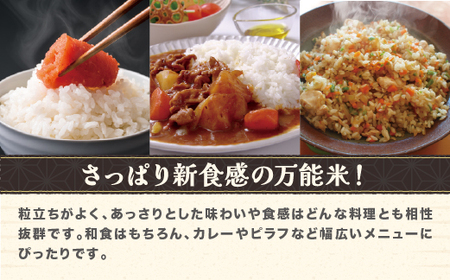 令和7年産 精米 雪若丸 5kg ko-ywsxa5