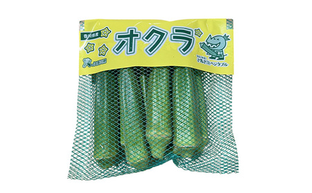 オクラ 約2.8kg 野菜