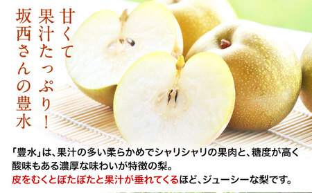 『坂西果樹園』の豊水梨 期間限定 たっぷり約5kg(8-15玉前後)こだわり抜かれた栽培方法！予約受付中 熊本県玉名郡玉東町産『坂西果樹園』なし 豊水 果物 スイーツ フルーツ デザート スムージー 熊本県玉東町《8月中旬-9月中旬頃出荷》｜ブランド梨 人気梨 特産品梨 熊本県梨 玉東町梨 大人気返礼品