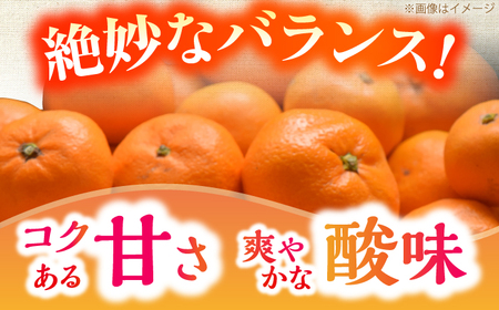 【先行予約】＜サイズおまかせ＞高知県産温州みかんA級品 約5kg ＜2026年11月上旬～2026年12月下旬頃発送＞ / みかん 柑橘 オレンジ 高知県 温州 【株式会社にしごみ】[ATEA009]