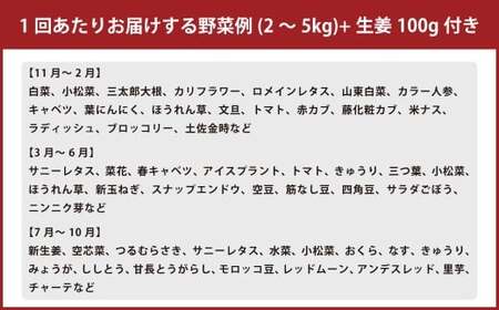【定期便12回】旬の野菜の詰め合わせと栽培期間中農薬不使用の生姜100g付き 詰め合わせ 野菜セット 野菜 ギフト やさいセット お取り寄せグルメ 家庭用 旬野菜 新鮮 特産 農薬不要 食材