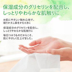 【2ヵ月連続お届け・計60箱】エリエール 北海道 しっとりティシュー なまらたっぷり 240組3箱 10パック ふるさと納税限定デザイン ボックスティシュー 箱ティッシュ ペーパー 備蓄品 花粉 保湿成分