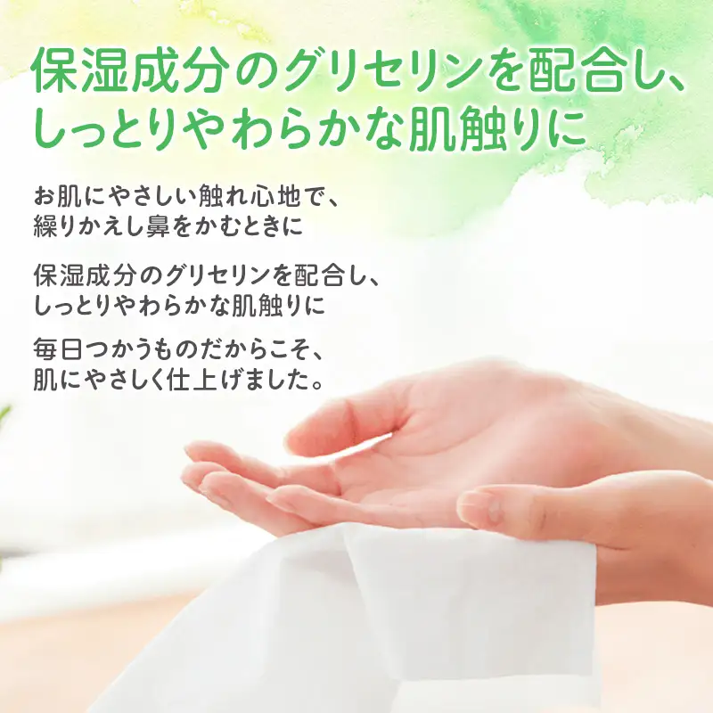 定期便 3ヵ月連続お届け エリエール ハーフサイズ 収納に便利 コンパクト 【少量5パック】 北海道 しっとりティシュー なまらたっぷり 240組3箱 5パック 計15箱 ボックスティシュー ふるさと納税限定デザイン