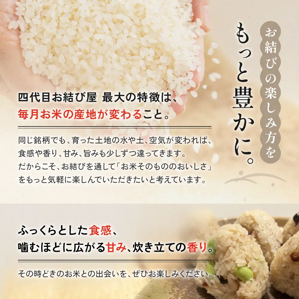 南知多産タコとタコの出汁を使った「たこむすび」（10個入り）| おにぎり専門店 四代目お結び屋  冷凍おにぎり 産地直送