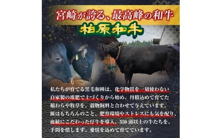 【自社農場和牛】黒毛和牛 特製塩だれ白ホルモン 900g （国産 黒毛和牛 宮崎牛 牛肉 塩だれ ホルモン 白ホルモン 冷凍 宮崎県 小林市）
