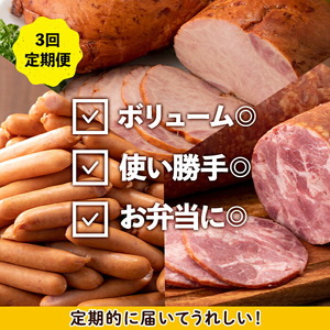 ＜定期便・計3回(隔月)＞ナンチク 加工品 セット ( Newポークウインナー / 焼き豚 / サラダハム ) 【ナンチク】i1205-B