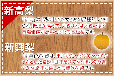 【日付指定不可】『清田果樹園』の原倉梨 期間限定 予約受付中 たっぷり約5kg 6-14玉前後《9月上旬-10月上旬頃出荷》 果汁あふれるシャキシャキ食感！新高梨 新興梨 あきづき 豊水梨 熊本県玉名郡玉東町『 