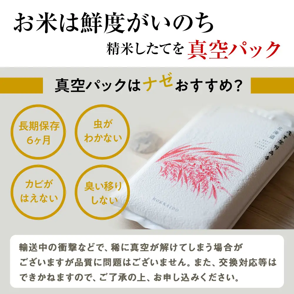 【定期便6ヶ月・上旬発送】《令和7年産》北海道産ななつぼし 10kg（真空パック5kg×2袋）