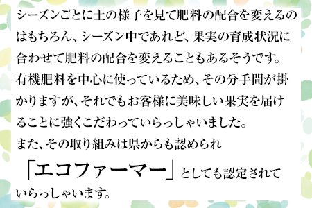 【先行予約】『松田農園』のくまもと梨 期間限定 たっぷり約5kg 8-18玉前後《7月下旬-9月末頃出荷》 予約受付中 熊本県玉名郡玉東町『松田農園』｜ブランド梨 人気梨 特産品梨 熊本県梨 玉東町梨 大人気返礼品