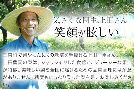 『上田農園』の玉東梨 期間限定 予約受付中 たっぷり約3kg 3-10玉前後《8月中旬-10月上旬頃出荷》 熊本県玉名郡玉東町『上田農園』｜ブランド梨 人気梨 特産品梨 熊本県梨 玉東町梨 大人気返礼品