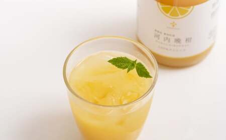 無添加 果汁100％ 河内晩柑ジュース 720ml×3本入 晩柑 柑橘 みかん 蜜柑 ミカン 飲料 ジュース 100％ 愛媛みかん 愛媛県産 【2026年5月上旬～12月上旬まで発送予定】【えひめの町（超）推し！（愛南町）】（576-1）
