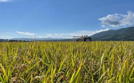 【令和7年産】 北海道 蘭越産 ななつぼし 5kg お米 米 コメ ごはん ご飯 飯 白ご飯 白米 上質 蘭越町