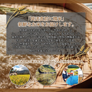 令和7年 鳥取県産 大上農園きぬむすめ無洗米 5kg